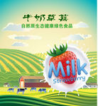 牛奶 草莓