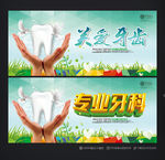 牙齿