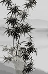 水墨竹子玄关