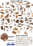 泥浆设计素材