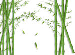 竹