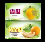 甜瓜 香瓜 黄金瓜