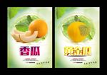 甜瓜