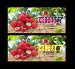 荔枝