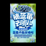 蓝莓