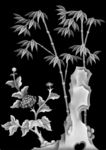 竹子石头菊花灰度图