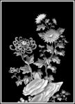 菊花门板浮雕灰度图