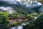 禾本景观素材