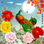 花开富贵孔雀牡丹十字绣无框画