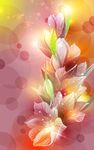 梦幻花朵