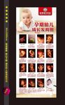 婴儿发育图