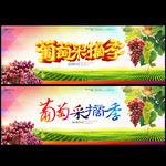 葡萄