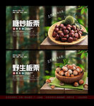 板栗