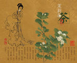 包装设计
