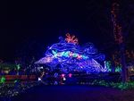 灯展