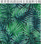 棕榈叶图案热带植物图案