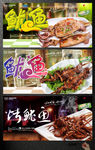 鱿鱼