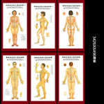 国家标准经穴部位挂图