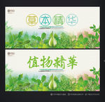 草本