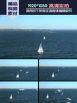 海洋帆船海鸥