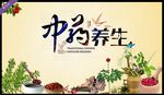 中药养生