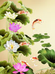 荷花鲤鱼图