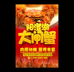 大闸蟹