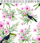 鸡蛋花图案 鹦鹉花卉图案 绿叶