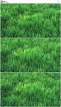 风吹草动