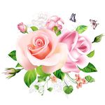 手绘花卉花样