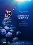 大海报广