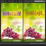 新鲜红提