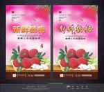 杨梅