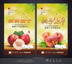 桃子 水果