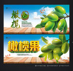 橄榄