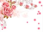 梦幻玫瑰花
