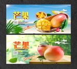 芒果