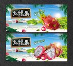 火龙果
