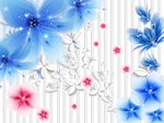 蓝色百合花