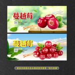 蔓越莓