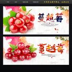 蔓越莓