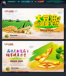 大豆油
