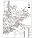 牡丹花