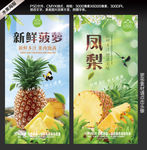 菠萝海报