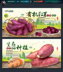 红薯