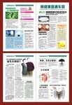 肠健康直通车报   报纸