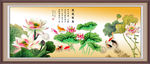 国画荷花