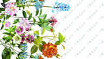 花