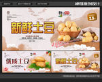 土豆