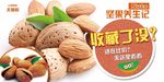 坚果